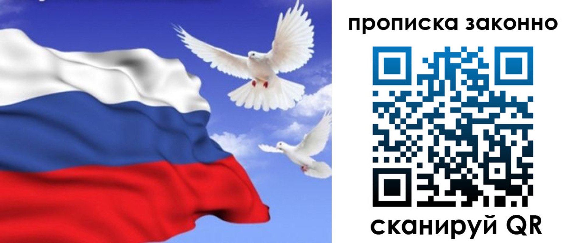 прописка в Городце